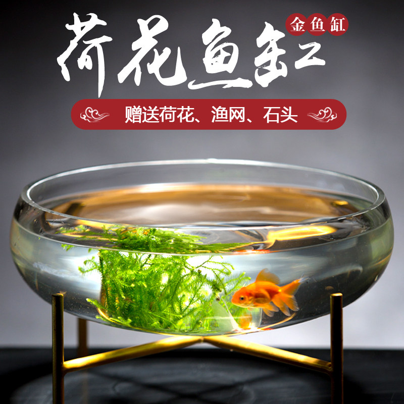 特大号荷花缸 超白透明大型玻璃鱼缸 水培创意鱼缸金鱼缸乌龟缸