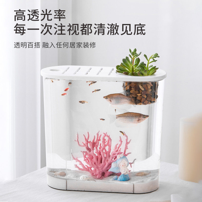 桌面生态鱼缸造景客厅小型微景观超白透明塑料家用养斗鱼金鱼新款
