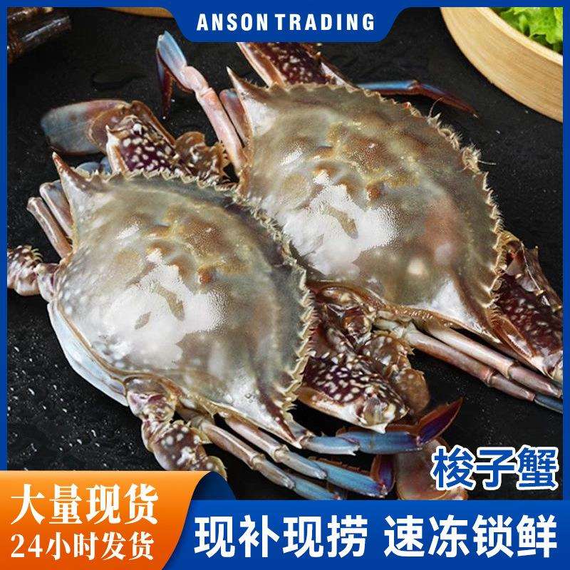 梭子蟹鲜活冷冻新鲜特大螃蟹海鲜水产冷冻海蟹白蟹飞蟹顺丰批