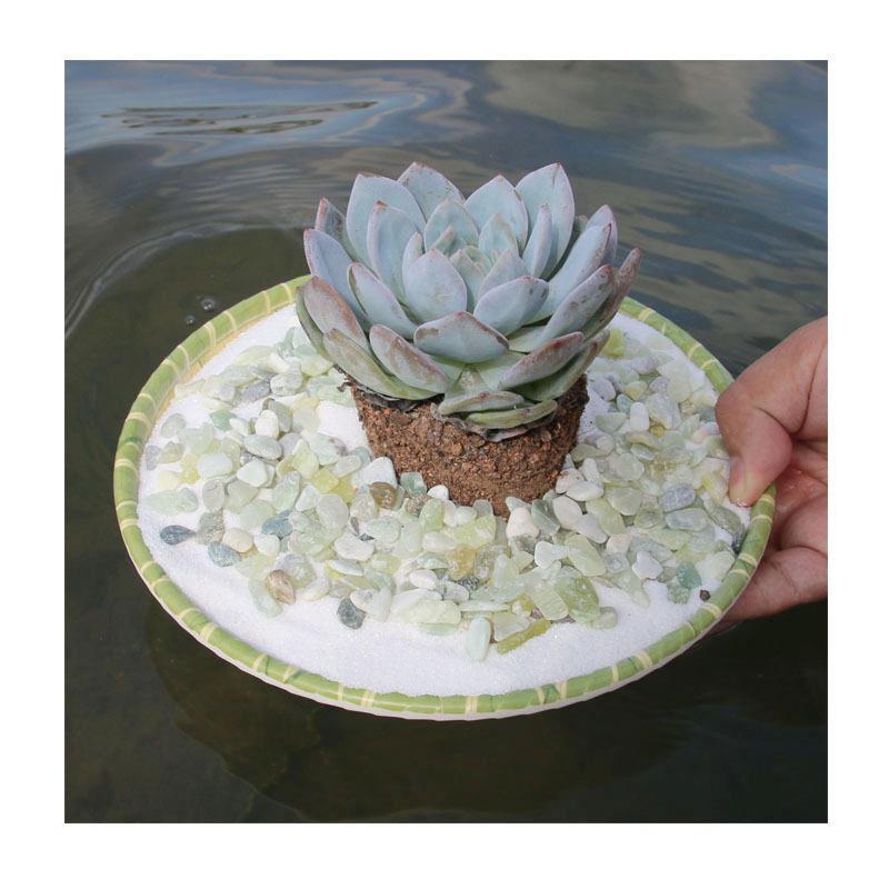 水洗石多肉植物点缀石子白色仿真植物盆栽出口配搭白色鹅卵石