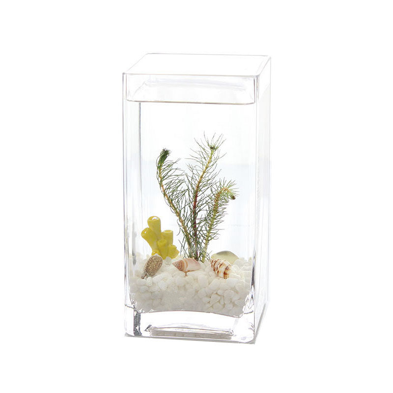 加厚玻璃鱼缸方形鱼缸办公桌面鱼缸斗鱼缸热带鱼缸小型水培花瓶