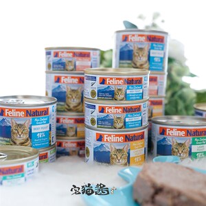 宅猫酱 新粮兰k9天然无谷猫头罐猫咪营养主食罐猫湿西6罐混拼组合