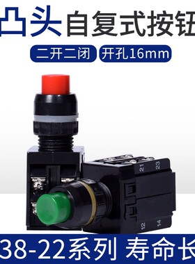 LA38-22/103高头 凸头自复式按钮开关 2开2闭铜件 银点 16MM