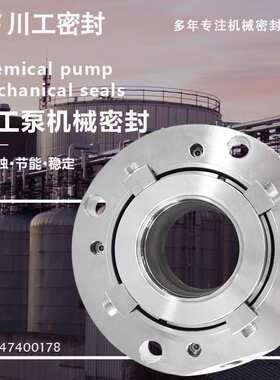 HZ125-100-250B\HZK150-125-315BI 泵用集装式双端面机械密封