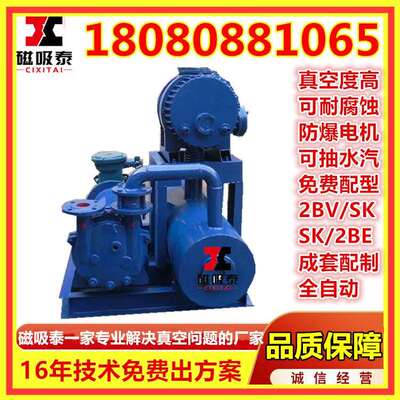 JZJ2S300-2.1水环真空机组ZJP300-150罗茨增压泵2SK6真空泵21.2KW