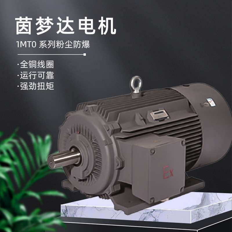 茵梦达电机1MT0系列粉尘防爆三相异步电动机45kw55kw厂家直供图片