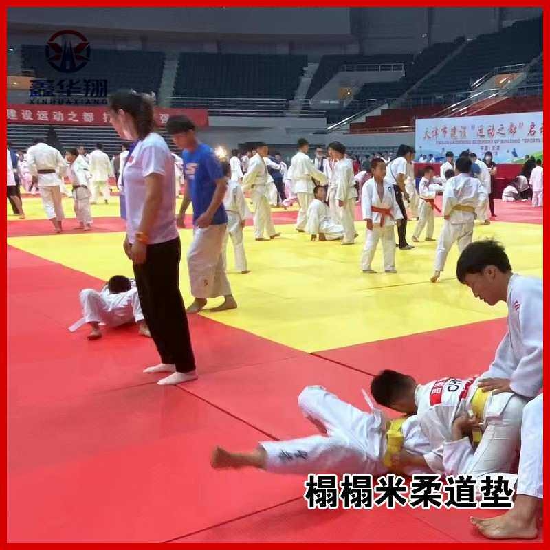 柔道垫子比赛训练专用榻榻米搏击武术散打跆拳道格斗摔跤柔术地垫