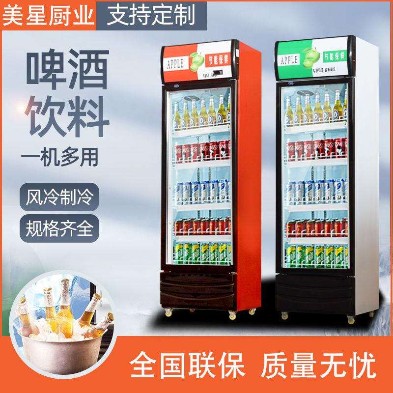 啤酒柜玻璃门展示柜冷藏饮料展示柜立式单双门冰柜冰箱保鲜柜