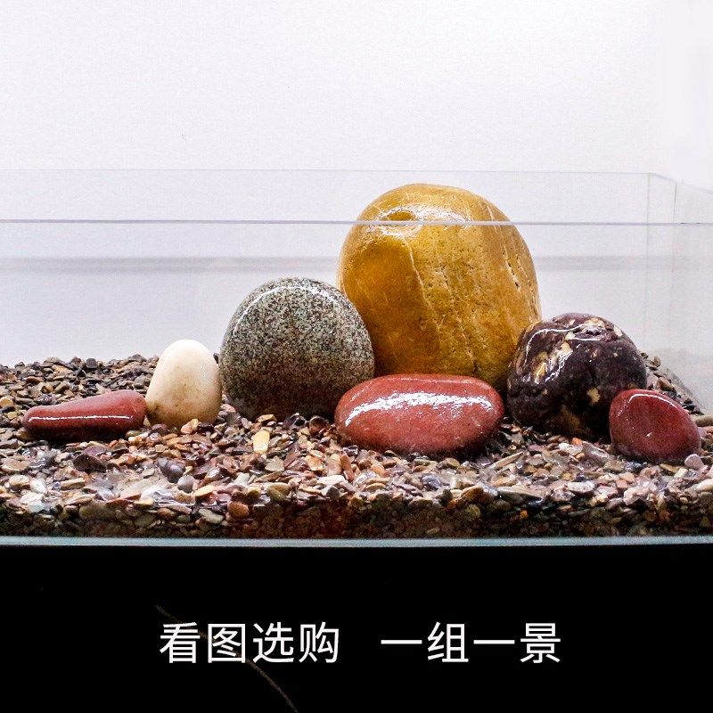 赏缸造景天然长江石全流石溪套装饰观鱼石头乌龟缸晒台水族箱石头