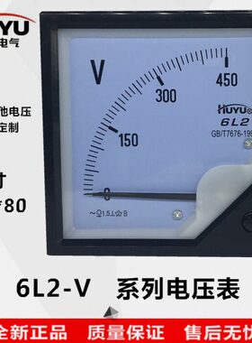 huyu环宇电气42L6  6L2-V 电压表 安装式仪表250V450V500V 指针表