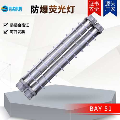 BAY 51  LED防爆荧光灯 防爆节能灯防爆条灯 防爆洁净荧光灯