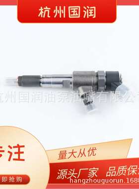 高压共轨电喷 0445110694 喷油器适用于五十铃 沃尔福 江淮发动机