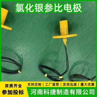 银/氯化银参比电极 防腐电位测量 海水用固态参比电极