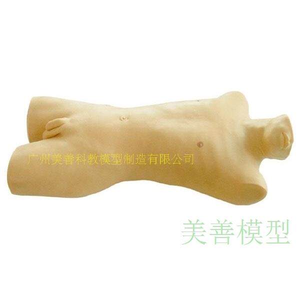 骨髓穿刺训练模型 髂前上棘 胸骨柄穿刺术训练 刺透模拟骨髓腔