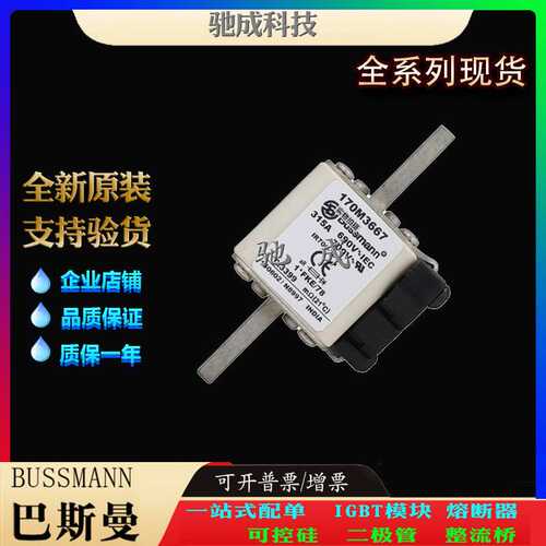 巴斯曼170M3667 170M3668 170M3669 加工制作销售  高速熔断器