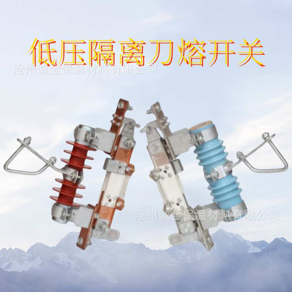 低压隔离开关WTRK2-0.5KV/400A户外隔离刀闸跌落式保险刀熔开关