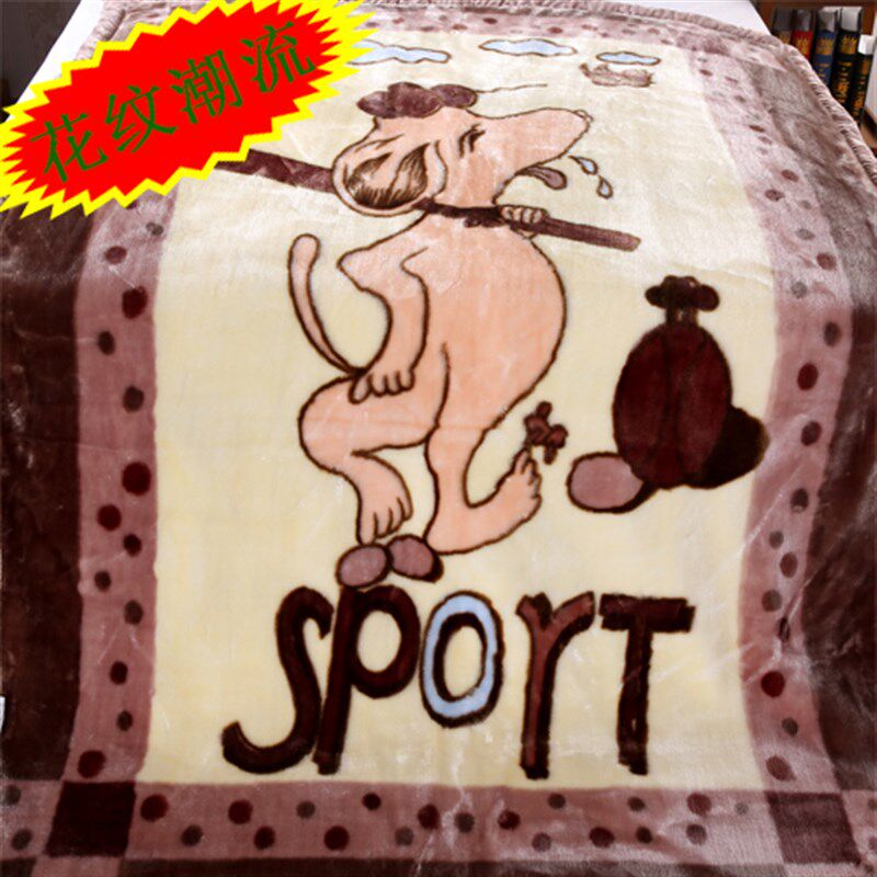 双层加厚拉舍尔毛毯单双人珊瑚绒毯冬季午睡盖毯学生宿舍毛毯被子