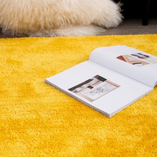 家用金黄色植绒客厅大地毯入户门地垫新房进门脚垫卧室满铺垫定制