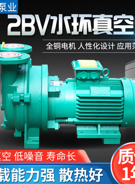 2BV水环式真空泵工业用2060/2061/2070/2071高真空水循环泵耐腐蚀