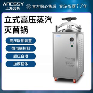 艾析立式高压灭菌锅高温蒸汽全自动消毒锅大型压力灭菌器杀菌锅
