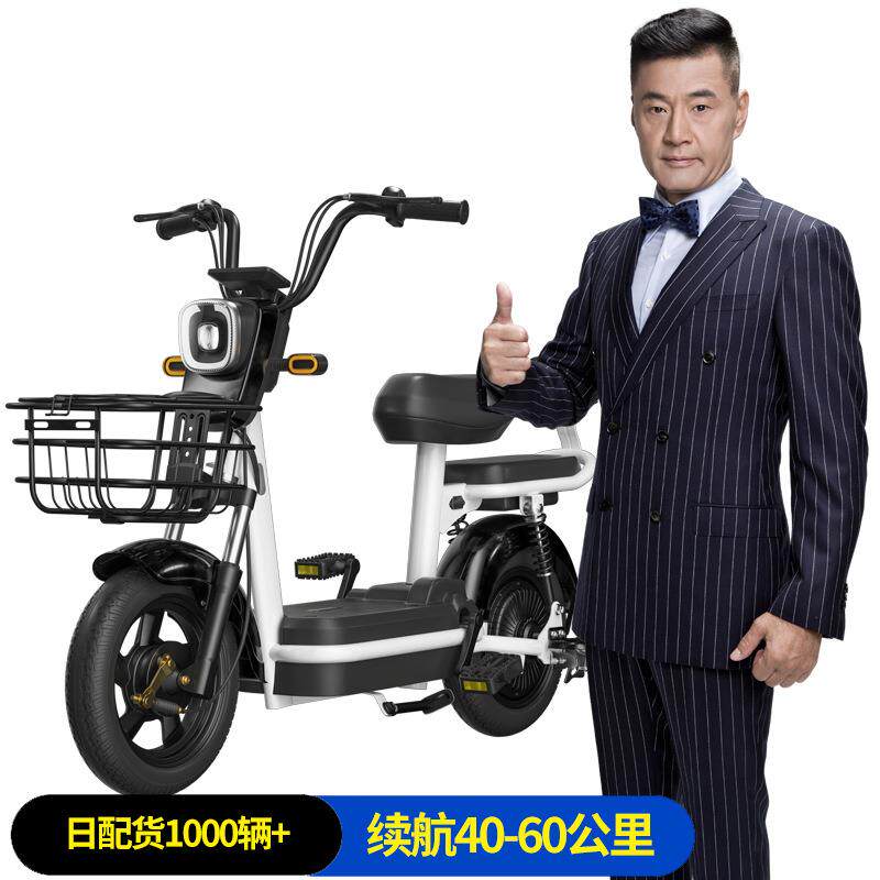 新国标电动车自行车电瓶车锂电池代步男女成人小型车轻便电车