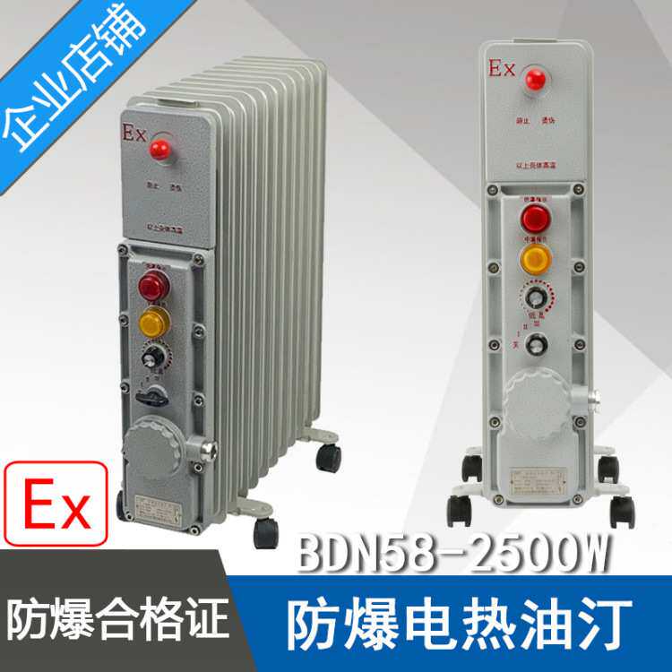 BDN58-2500W13片防爆电热油汀功率2.5KW电压220V防爆电暖气取暖器
