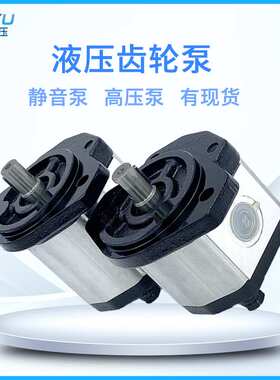 时骏拖拉机液压齿轮泵XP系列奥驰2000农用车专用液压外啮合齿轮泵