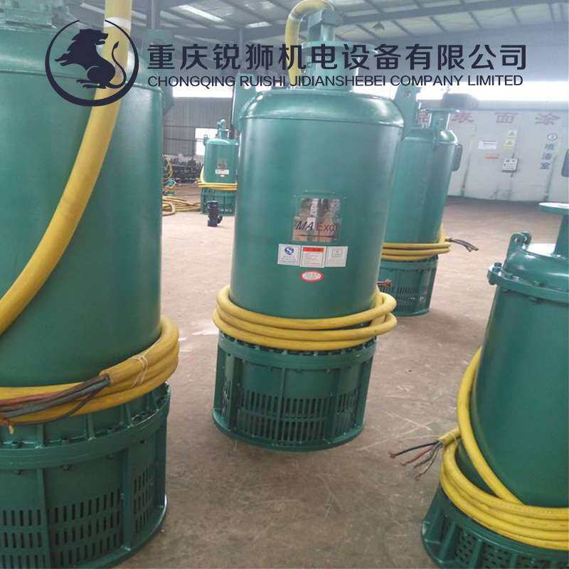 重庆BQW矿用防爆型潜水泵 侧出口BQS防爆污水泵隔爆型潜水排污泵