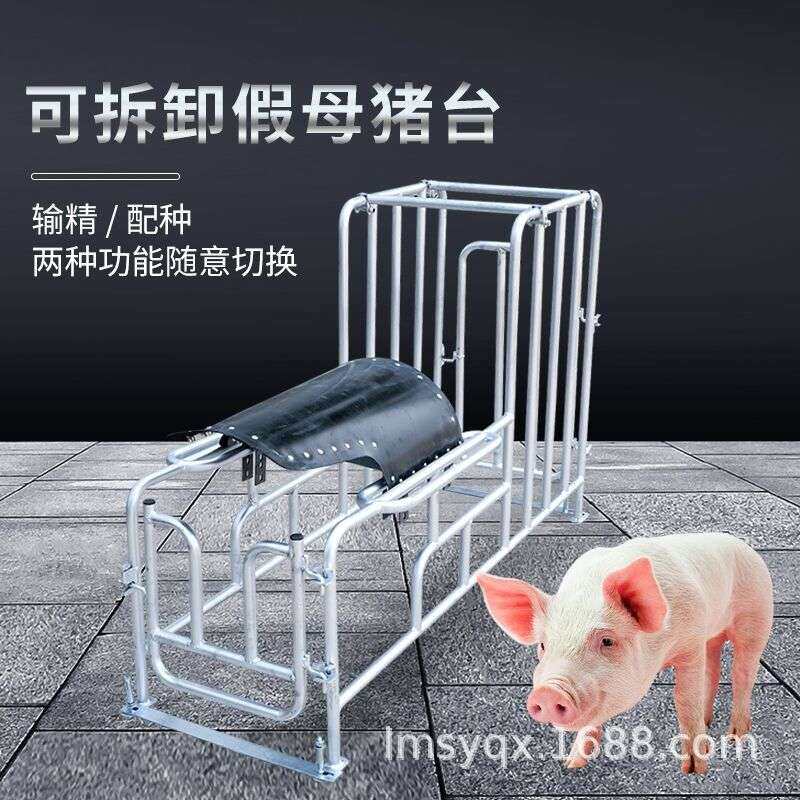 种猪小母猪架配种架采精支架公猪用配种栏受精配种器配猪架子设备