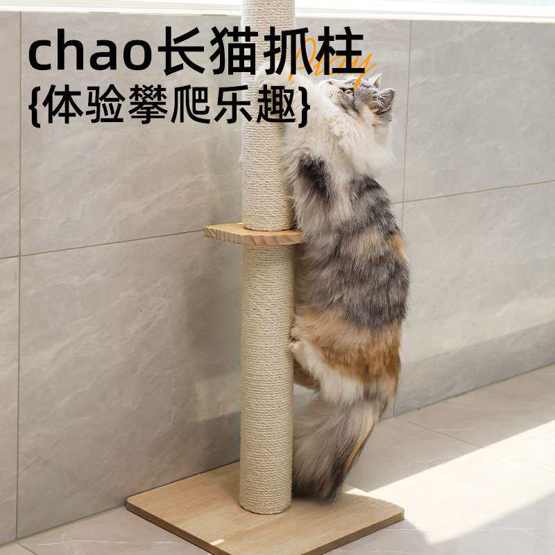 喵仙儿猫爬架家用通天柱猫抓板猫窝猫树一体靠墙占地小猫跳台猫架