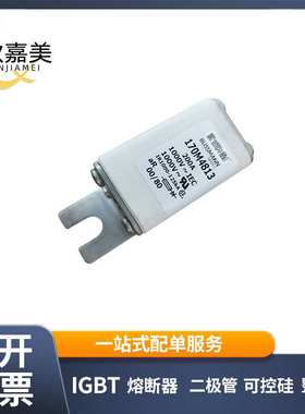 170M4813 170M4469 快速熔断器  电子元器件 库存充足 量大价优