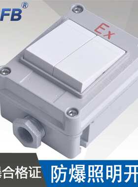 SWB-10A/IIS防爆照明开关二开双开单控双控电流10A电压220V铝合金