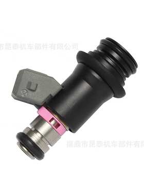 汽车节气门IWP170喷油嘴 For VW Fox Gol G3 G4 1.0 16V 50102802