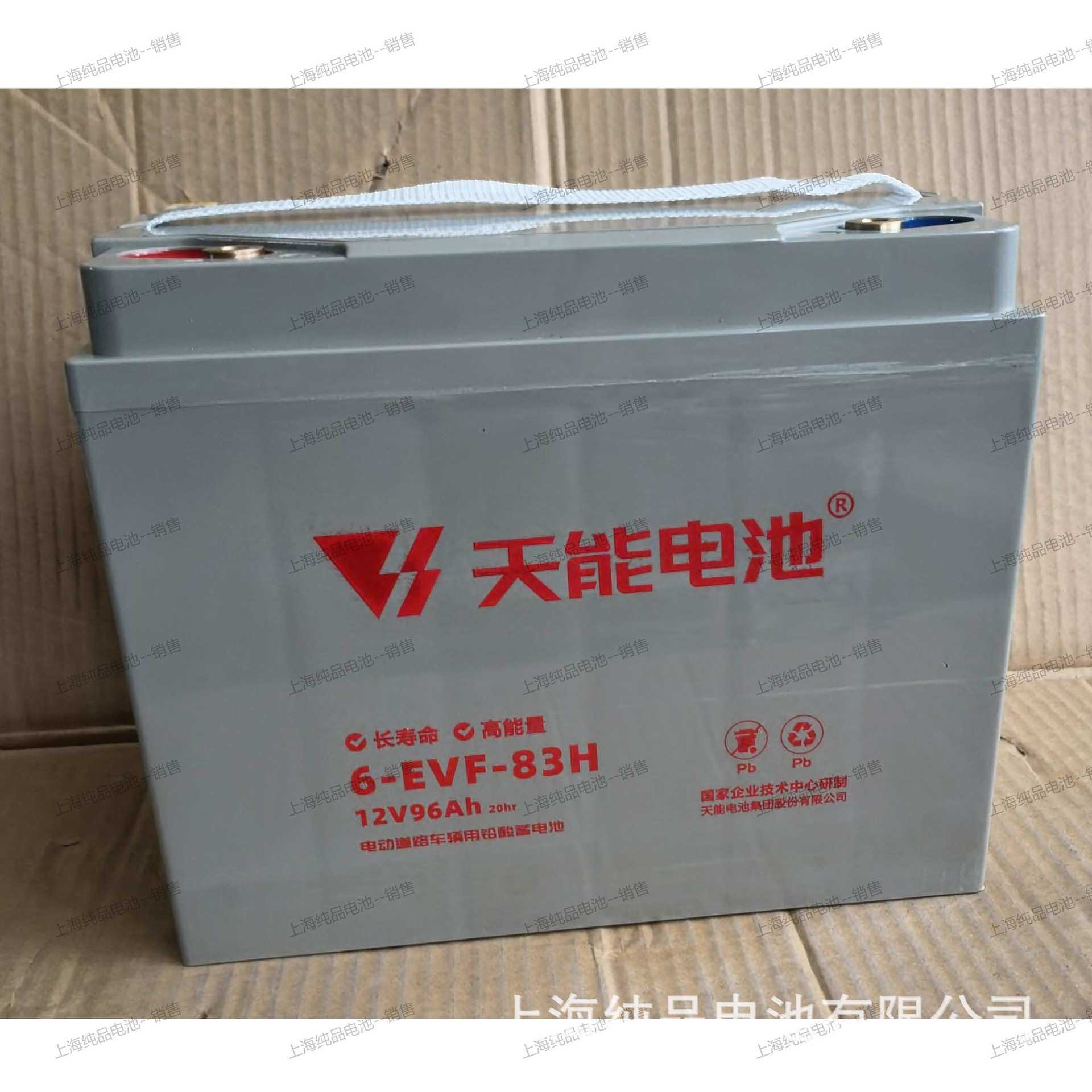 6-EVF-83H天能12V96Ah牵引动力铅酸电瓶搬运车登高车电动车蓄电池