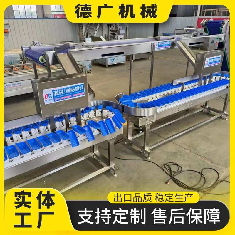 商用人参三七重量分选机 芒果大石榴分级机 连续式琵琶腿快速分选