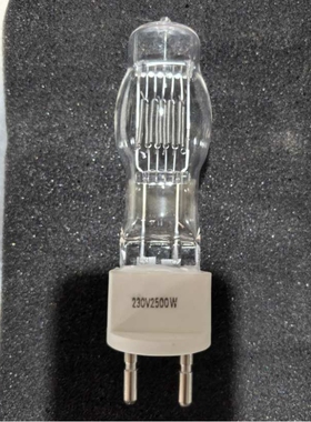 2500w钨丝灯 g22插脚 230v电压卤钨灯