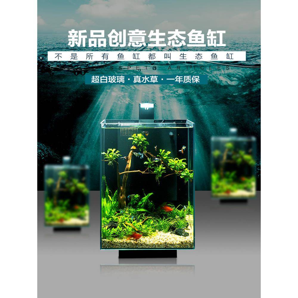 鱼缸水族箱小型桌面家用阿诺比水草造景懒人养鱼客厅小型生态鱼缸