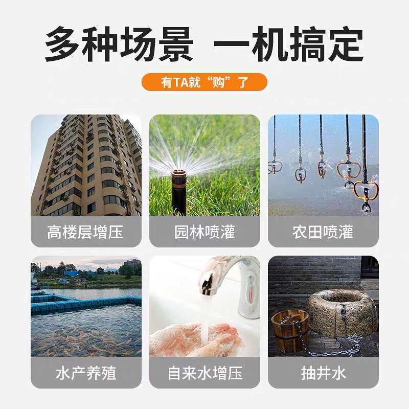 广东凌霄1ZDB65水泵家用自吸水泵高扬程增压泵自来水井农用抽水泵
