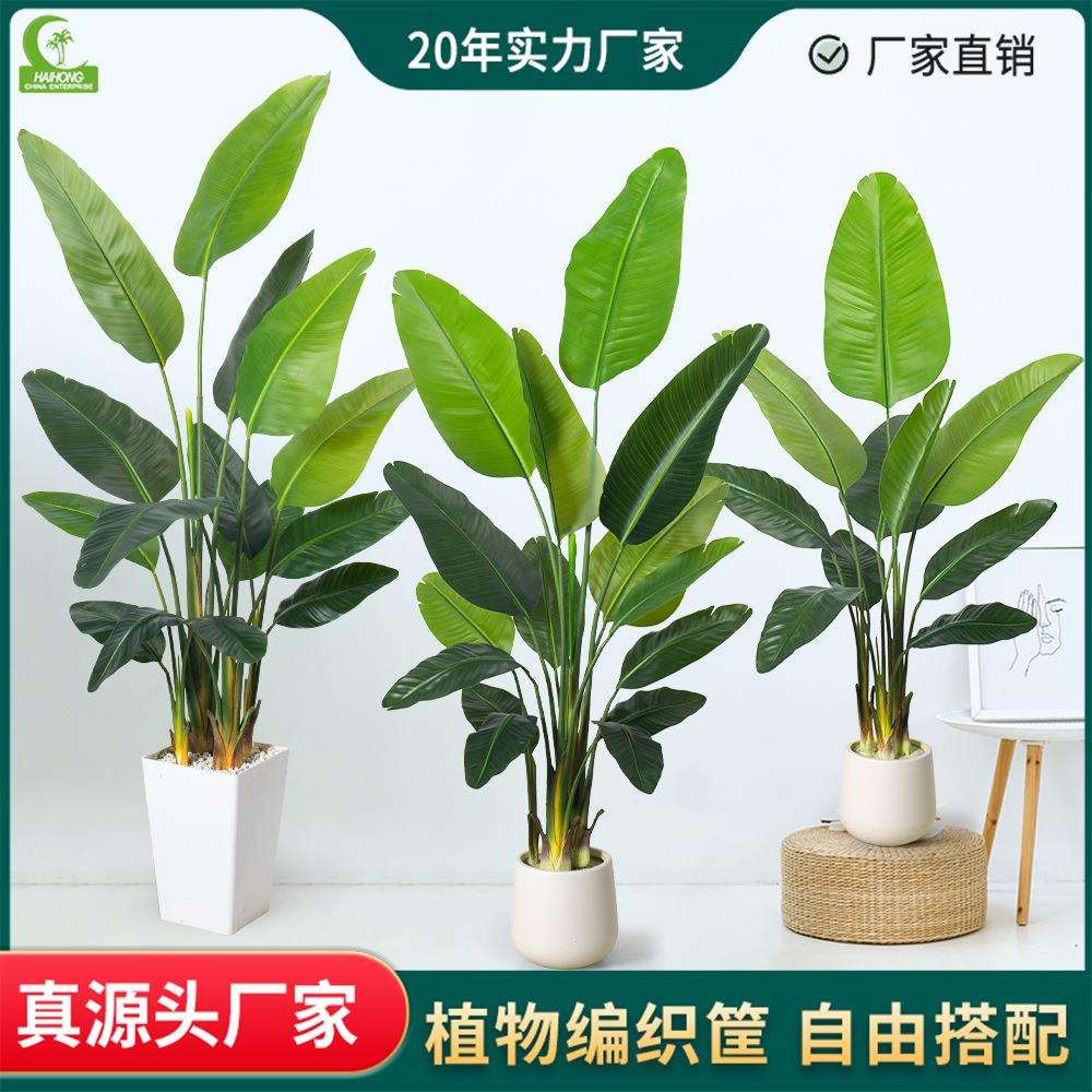 源头厂家仿真假植物旅人蕉盆栽天堂鸟盆景吉祥鸟服装店绿植场景