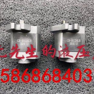 CB-B12ALB齿轮泵机床齿轮泵铝合金油泵 齿轮泵CB-B10ALB CBB12ALB