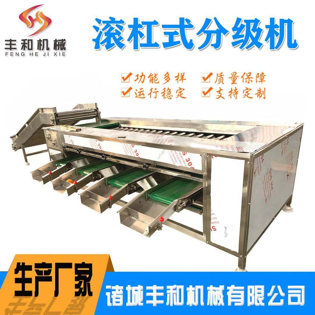 果蔬加工设备厂家供应砂糖橘柑橘清洗打蜡分级设备番石榴分选机