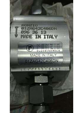 意大利RONZIO罗茨 02ZCG20L441R (排量20）高压齿轮泵 液压马达