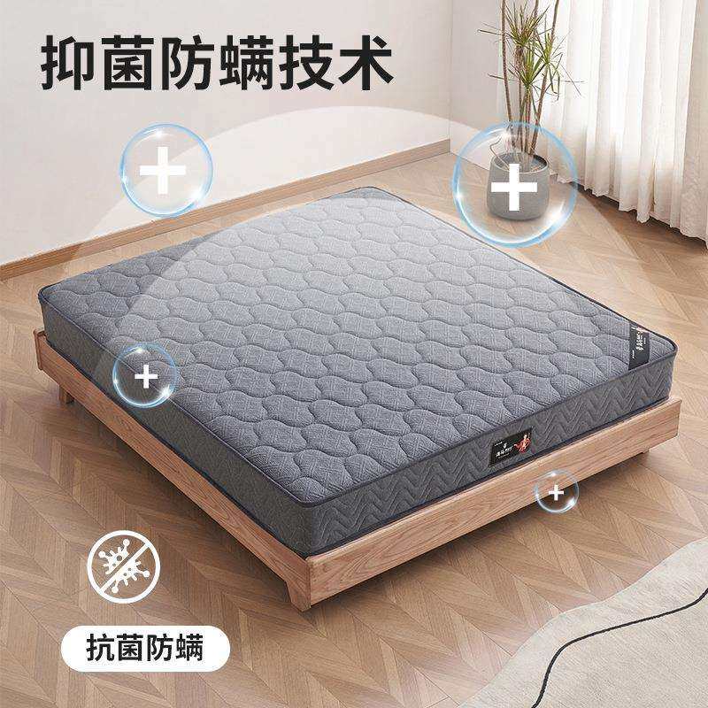 弹簧棕垫竹炭防螨床垫23厘米厚床垫,模玩/动漫/周边/娃圈三坑/桌游,模型制作工具/辅料耗材,淘宝优惠券,粉丝福利购,淘宝优惠卷