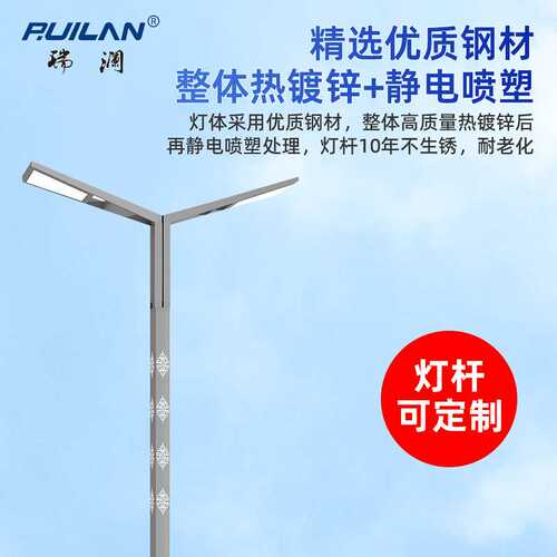 LED市电路灯单双臂6米8米12米道路照明足瓦30W60W100W照明灯智能