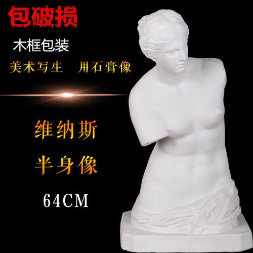 石膏半身像维纳斯半身石膏像维纳斯头像石膏头像H64写生教具