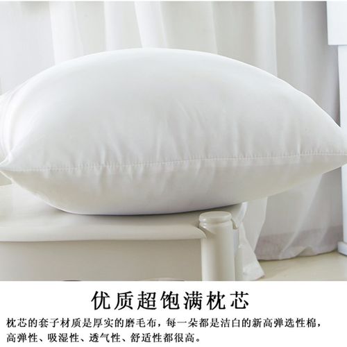 沙发抱枕芯子靠垫芯子腰枕头芯大靠枕芯4545/5555/6060/6565/4055