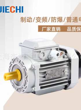 YE2/YE3三相异步电动机MSH100L2-4  1.5KW