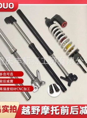 适用MOTOLAND利器极盗者1/3前减震避震器倒叉减震可调小孔减REGUL