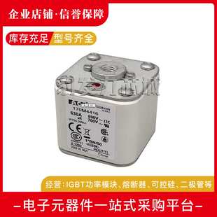 170M4614 170M4615 170M4616 170M4617 170M4618 170M4619熔断器