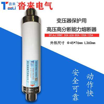 高压限流熔断器XRNT-10KV12KV50A63A80A保护保险管SFLAJ高分断